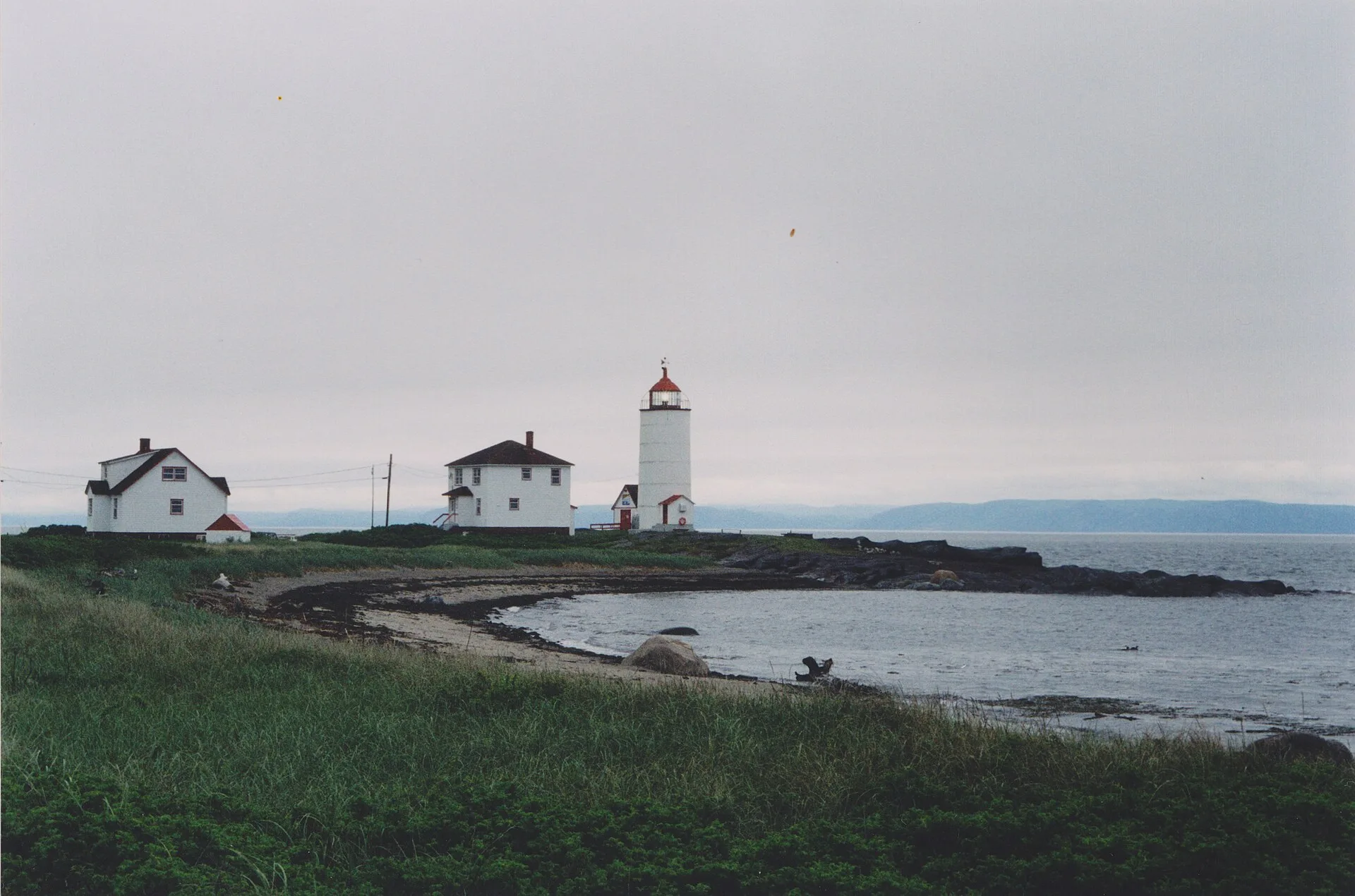Pourquoi Tadoussac est un lieu d'observation exceptionnel