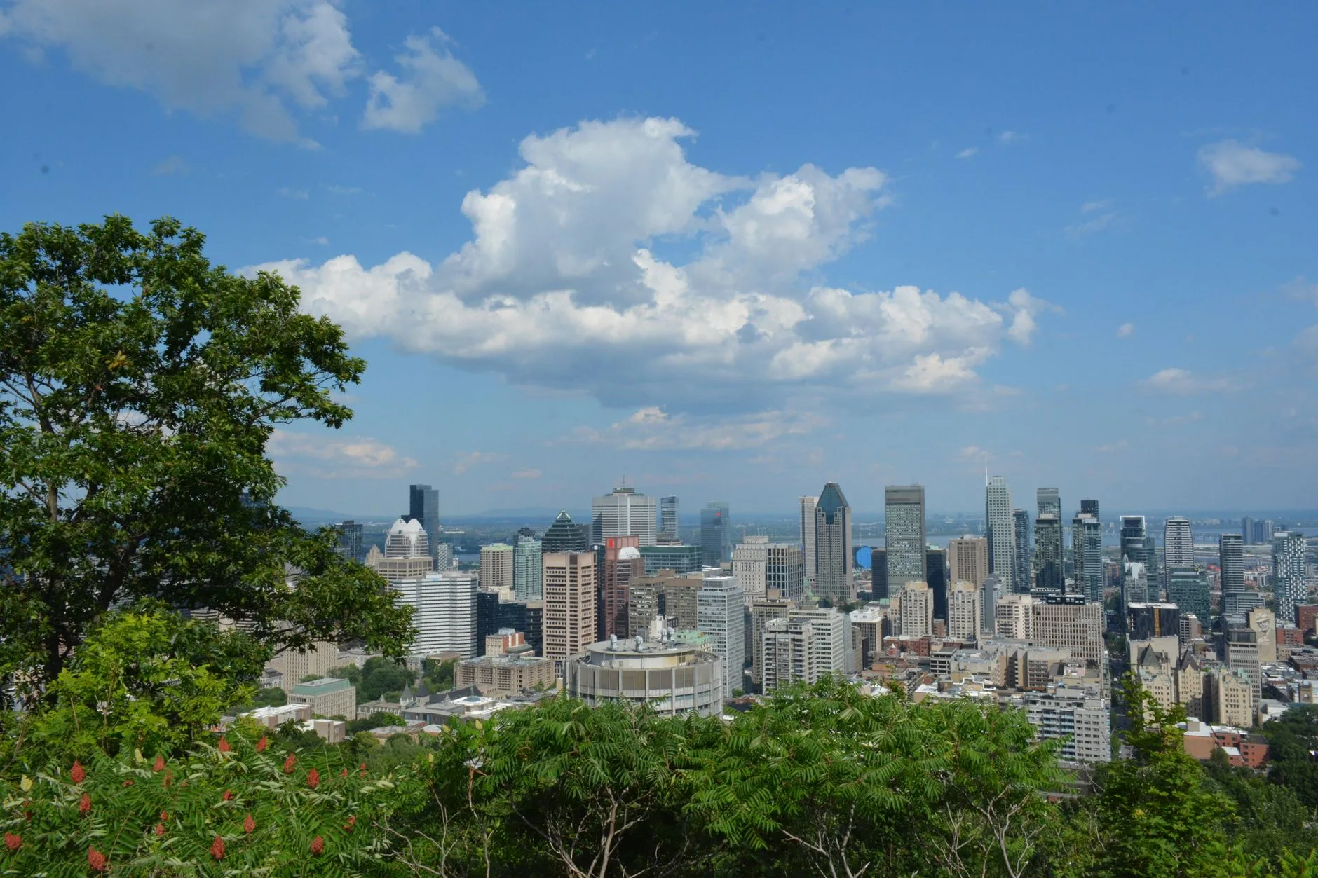 L'été (juin-août) : festivals, fleuve et grands espaces