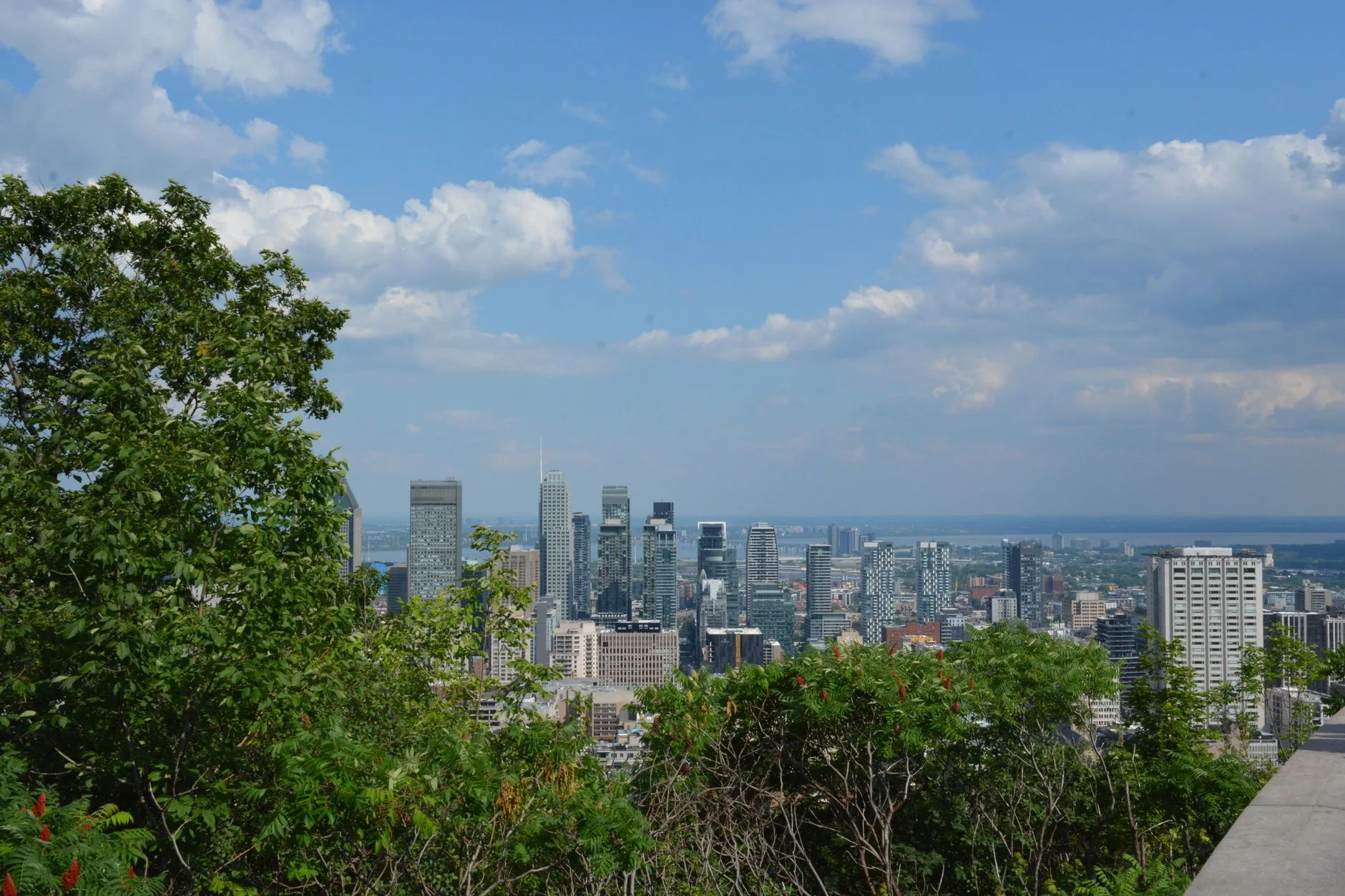 Vue sur les gratte-ciel de Montréal depuis le mont Royal en été